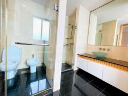Cairnhill Crest (D9), Condominium #555068181